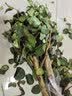 花期100天紫薇花树苗红火箭百日红紫薇耐寒耐旱工程庭院四季栽种 红火球紫薇三公分粗 实拍图