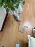 欢宠网猫咪牵引绳猫绳宠物防挣脱可调松紧背心式专用溜遛猫绳子外出用品 实拍图