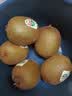 佳沛（zespri）绿奇异果优选果27-33粒原箱103-135g猕猴桃中秋节礼品送水果礼盒 实拍图