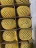 佳沛（zespri）新西兰金奇异果18粒优选果103-124g猕猴桃中秋节礼品送水果礼盒 实拍图
