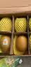 佳沛（zespri）新西兰金奇异果10个装单果重103-114g猕猴桃中秋节礼品送水果礼盒 实拍图