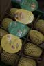 佳沛（zespri）新西兰金奇异果12粒特大果124-146g猕猴桃水果礼盒 实拍图