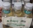 农夫山泉东方树叶茉莉花茶335ml*24瓶无糖茶饮料0糖0脂0卡整箱装 实拍图