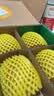 佳沛（zespri）新西兰金奇异果8粒特大果124-146g猕猴桃中秋节礼品送水果礼盒 实拍图