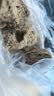 华田禾邦全麦杂粮馒头 800g*2袋 16个 手工无糖五谷杂粮包 早餐 中秋送礼 实拍图