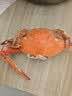 金鹏烤鱼片250gx2 鳕鱼片碳烤儿童孕妇即食海味休闲零食海鲜威海特产 250g*1袋 实拍图