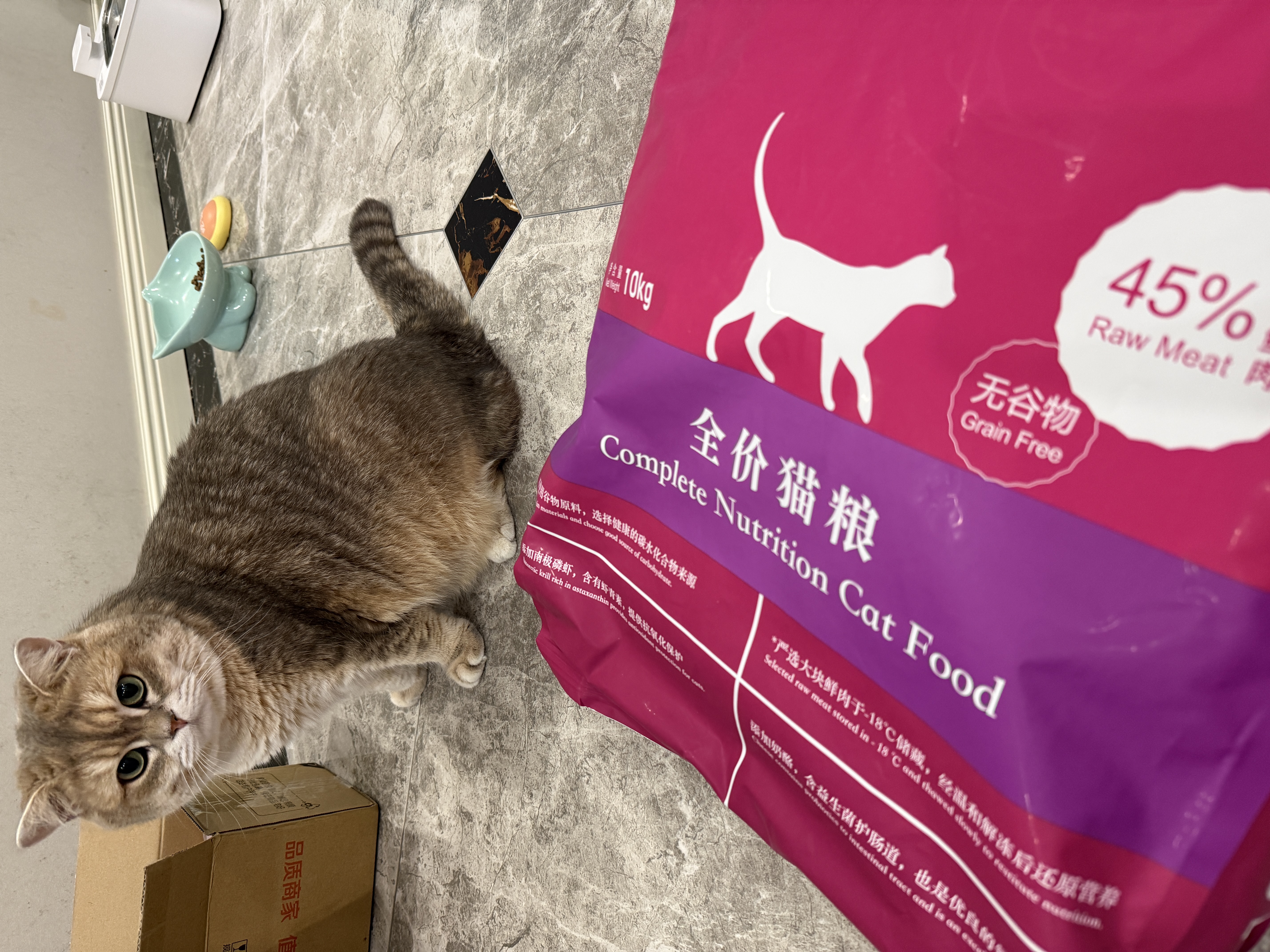 玫斯猫粮（metz）幼猫/成猫猫粮猫全猫粮奶糕英短美短全价美毛 猫粮试用装（随机口味50克） 实拍图