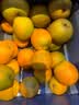 京觅秭归脐橙夏日鲜橙榨汁酸甜多汁净重8斤150g+新鲜水果源头直发包邮 实拍图