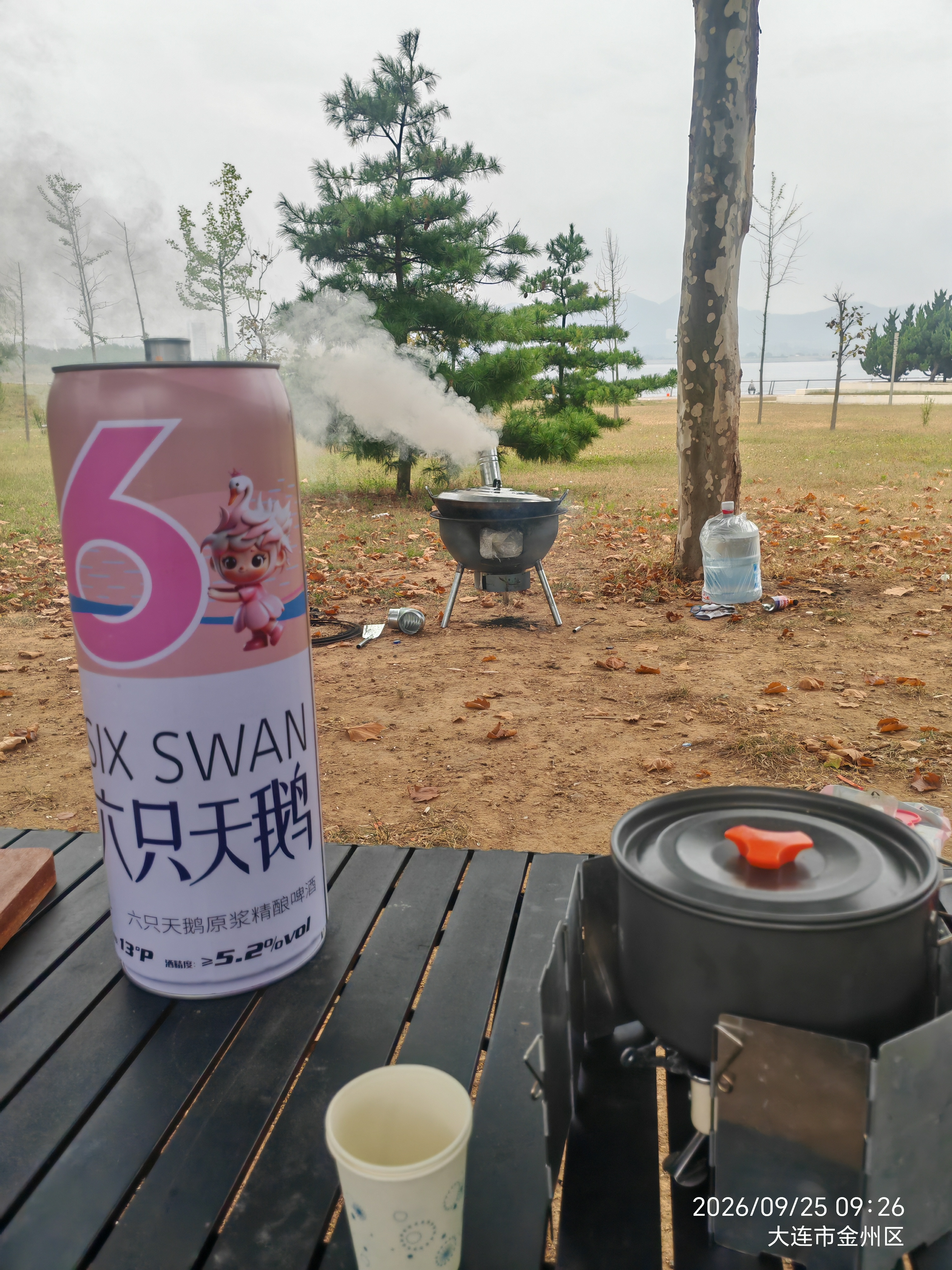 六只天鹅山东特产原浆精酿国产啤酒整箱装聚会团建节日热卖新老包装随机 大容量 10L 1桶 实拍图