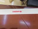 CHERRY樱桃DW2300 键盘无线键鼠套装键盘鼠标商务办公家用笔记本电脑外接全尺寸轻音便携人体工学 清新绿 实拍图