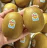 佳沛（zespri）金奇异果25粒原箱特大果134-146g猕猴桃中秋节礼品送水果礼盒 实拍图