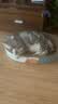 疯狂的主人猫抓板窝巨无霸猫玩具猫爪板猫抓盆不掉屑猫窝碗形圆形瓦楞纸 实拍图