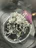 京东京造张家界特级莓茶250g 头采新茶野藤茶龙须芽尖土家生霉茶中秋节礼 实拍图