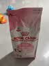 皇家猫粮 幼猫猫粮 幼猫奶糕 K36 通用粮 4-12月 2KG 实拍图