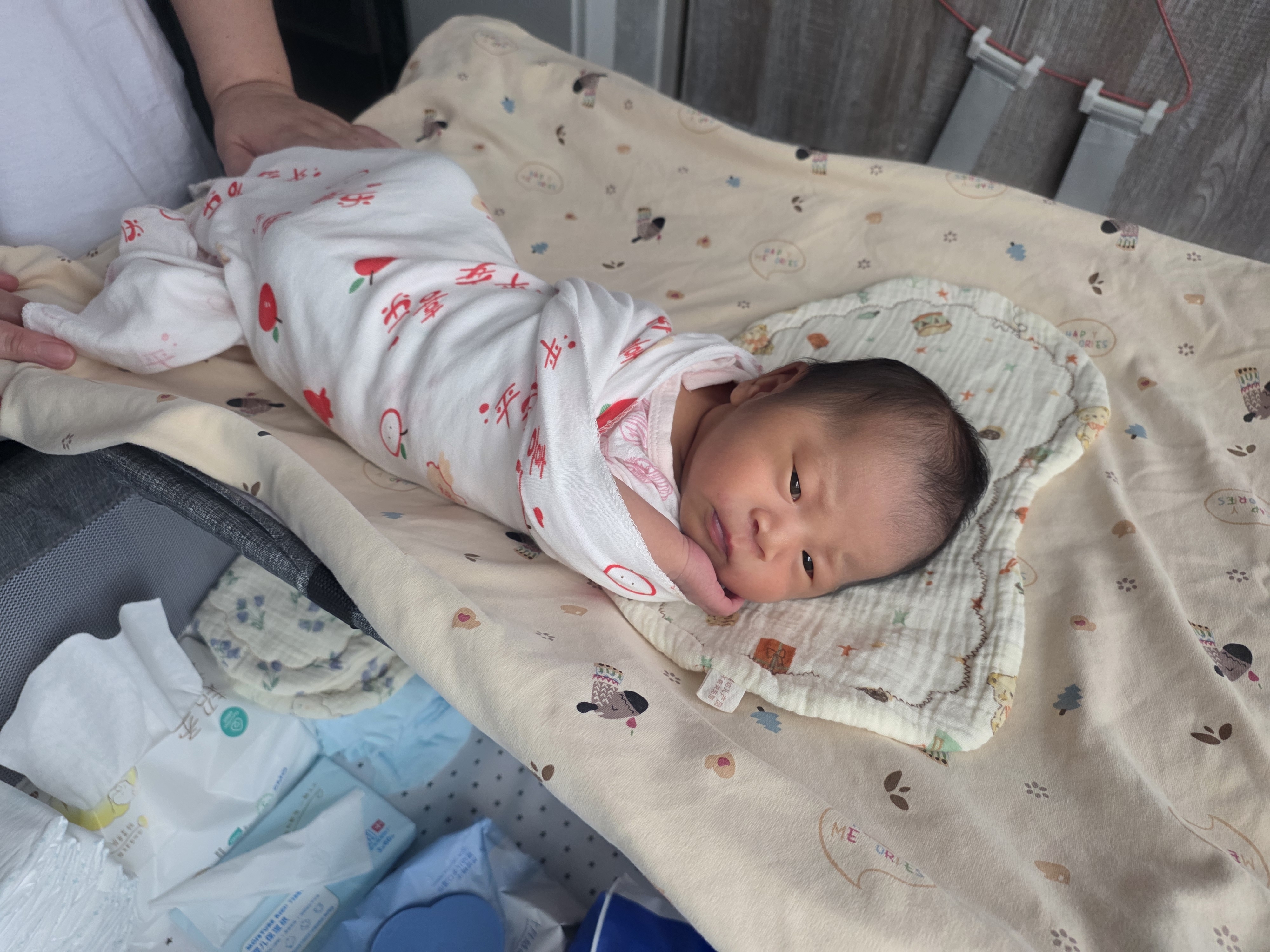 小二蓝新生儿黄疸蓝光灯家用蓝光箱出租婴儿照黄疸仪器【非配件耗材】 蓝光箱（配尿裤眼罩眼镜温度计） 实拍图