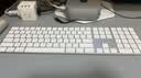Apple/苹果/苹果 妙控键盘-中文 (拼音) 闪电接口带数字小键盘 轻薄苹果键盘蓝牙键盘无线键盘办公键盘 实拍图