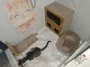 【京东快递】猫抓板猫窝一体式耐磨耐抓逗猫神器 45猫别墅【三层豪华款】 实拍图