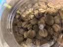 川珍豆蔻(白豆蔻)80g【配料干净】白蔻仁白扣火锅烧卤料香料煲汤食材 实拍图