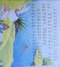 小小物理学家(全30册) 科普绘本 给3-9岁孩子的物理学科启蒙绘本 幼儿园一、二年级必读绘本 课外阅读书 老师推荐书单 幼儿园经典书单 幼小衔接 名家获奖睡前故事 3岁+ 实拍图
