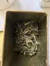 品品香茶叶 福鼎白茶 三年陈韵老白茶白牡丹茶叶50g口粮茶 自饮收藏 实拍图