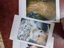 富士（FUJIFILM）instax 拍立得mini12 一次成像相机 mini11/41三寸相纸 生日礼物 开学送礼奖品  【刮刮乐抽相纸】 Mini12 茉莉白【用户优选】 官方标配【不含相纸】 实拍图