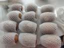 佳沛（zespri）新西兰金奇异果12粒特大果124-146g猕猴桃中秋节礼品送水果礼盒 实拍图
