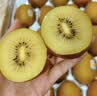 佳沛（zespri）新西兰金奇异果8粒特大果124-146g猕猴桃水果礼盒 实拍图