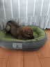 光多拉狗窝猫窝S码宠物冬季小型犬狗窝保暖加厚金毛泰迪四季通用睡垫子 实拍图
