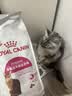 皇家猫粮 挑嘴成猫猫粮 高适口性 EF38 通用粮 12月以上 2KG 实拍图