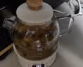 小熊（Bear）全玻璃壶0.8L养生壶 恒温壶 办公室小型迷你煮茶壶 0胶水  24h保温煮水壶 YSH-M08B3 礼物 实拍图