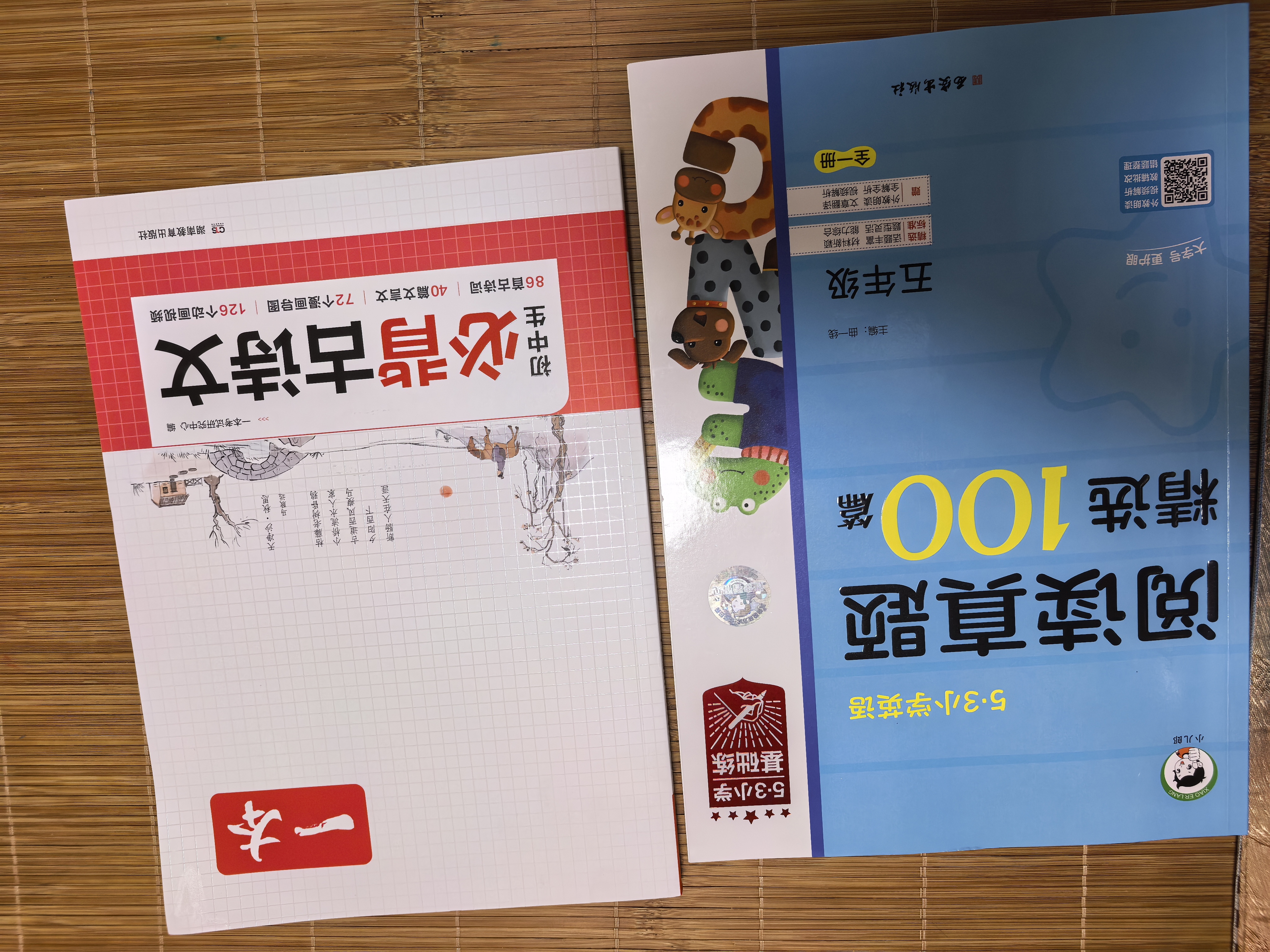 2026秋季53小学基础练 阅读真题精选100篇 英语 五年级全一册 开学季 实拍图