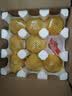 京觅山东秋月梨 净重4.5斤大果250g 应季新鲜水果源头直发包邮 实拍图