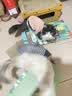 皇家猫粮 幼猫奶糕 幼猫猫粮 BK34 通用粮 1-4月 10KG 实拍图