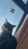 憨憨乐园猫玩具吸盘猫咪转转乐逗猫幼猫小猫逗猫棒自嗨解闷神器玩具 实拍图