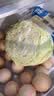 京鲜生山东新鲜绿甘蓝净重3斤 卷心菜 包菜 甘蓝新鲜蔬菜 源头直发 实拍图