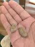 三关六码头茴香豆 奶油五香蚕豆水煮绍兴兰花豆老式下酒年货零食280g开学 实拍图
