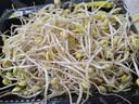 有机黄豆芽200g(原芽整根) 实拍图