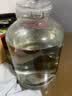 赖世仁贵州酱香型粮食酒水53度茅台镇原浆散装泡酒专用白酒10斤玻璃桶装 53度 5L 1桶 封藏原浆酒 实拍图