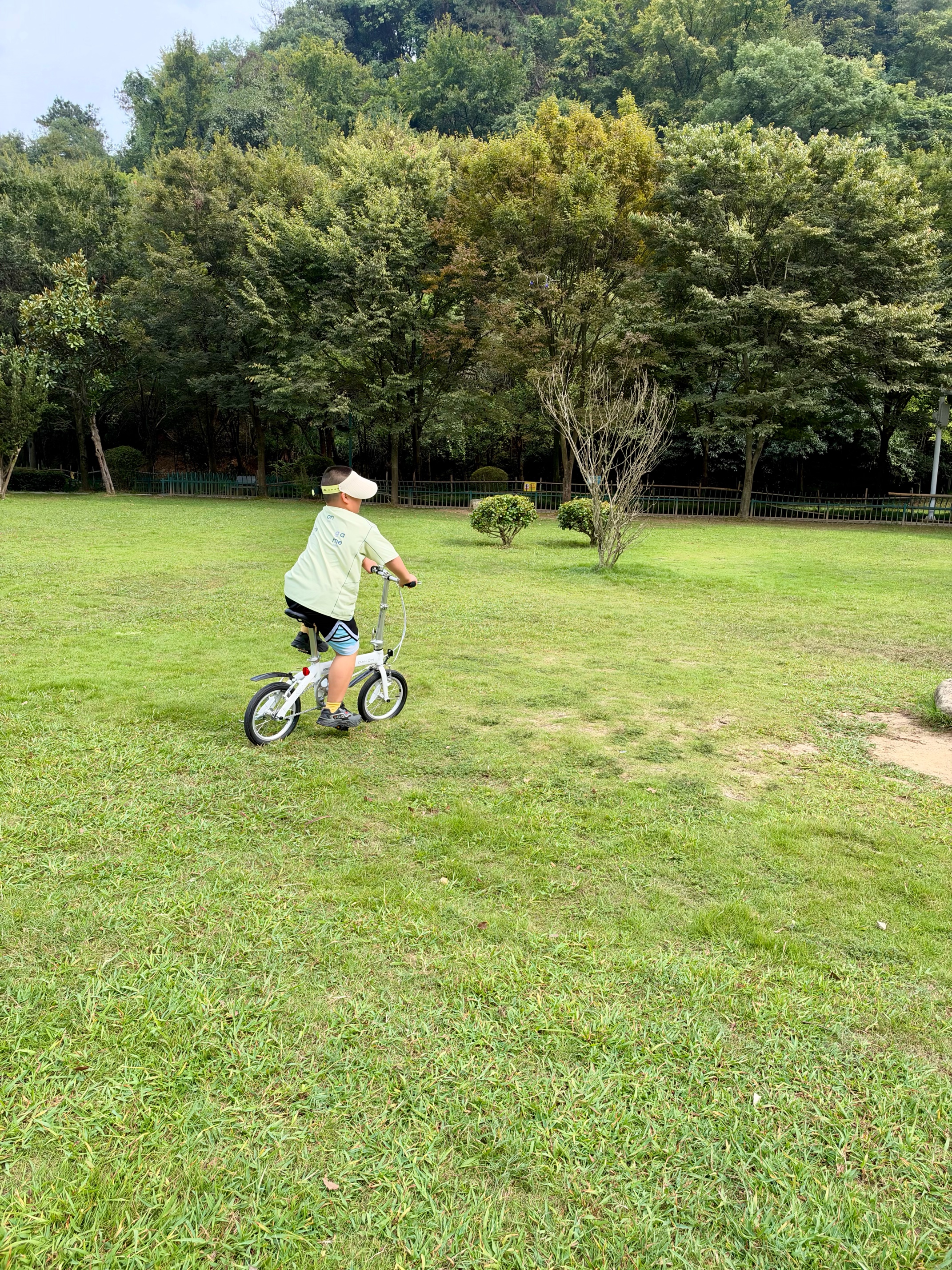 大行（DAHON） 412折叠自行车14英寸单速超轻迷你铝合金学生成人单车BYA412 白色 实拍图