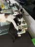 多特思猫零食猫条混合口味15g100支0添加0诱食剂防掉毛成幼猫咪鱼油罐头 实拍图