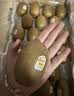 佳沛（zespri）新西兰 金奇异果特大果15粒134-146g猕猴桃中秋节礼品送水果礼盒 实拍图