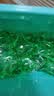 立白洗衣凝珠 除菌除螨抑菌洁净40颗 单腔 浓缩洗衣液 速溶快洗 实拍图