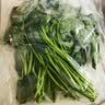 带根香菜100g 实拍图