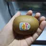 佳沛（zespri）新西兰金奇异果18粒优选果103-124g猕猴桃中秋节礼品送水果礼盒 实拍图