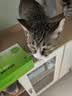 宽福十拼猫条零食混合装成猫幼猫猫湿粮14克*100支 实拍图