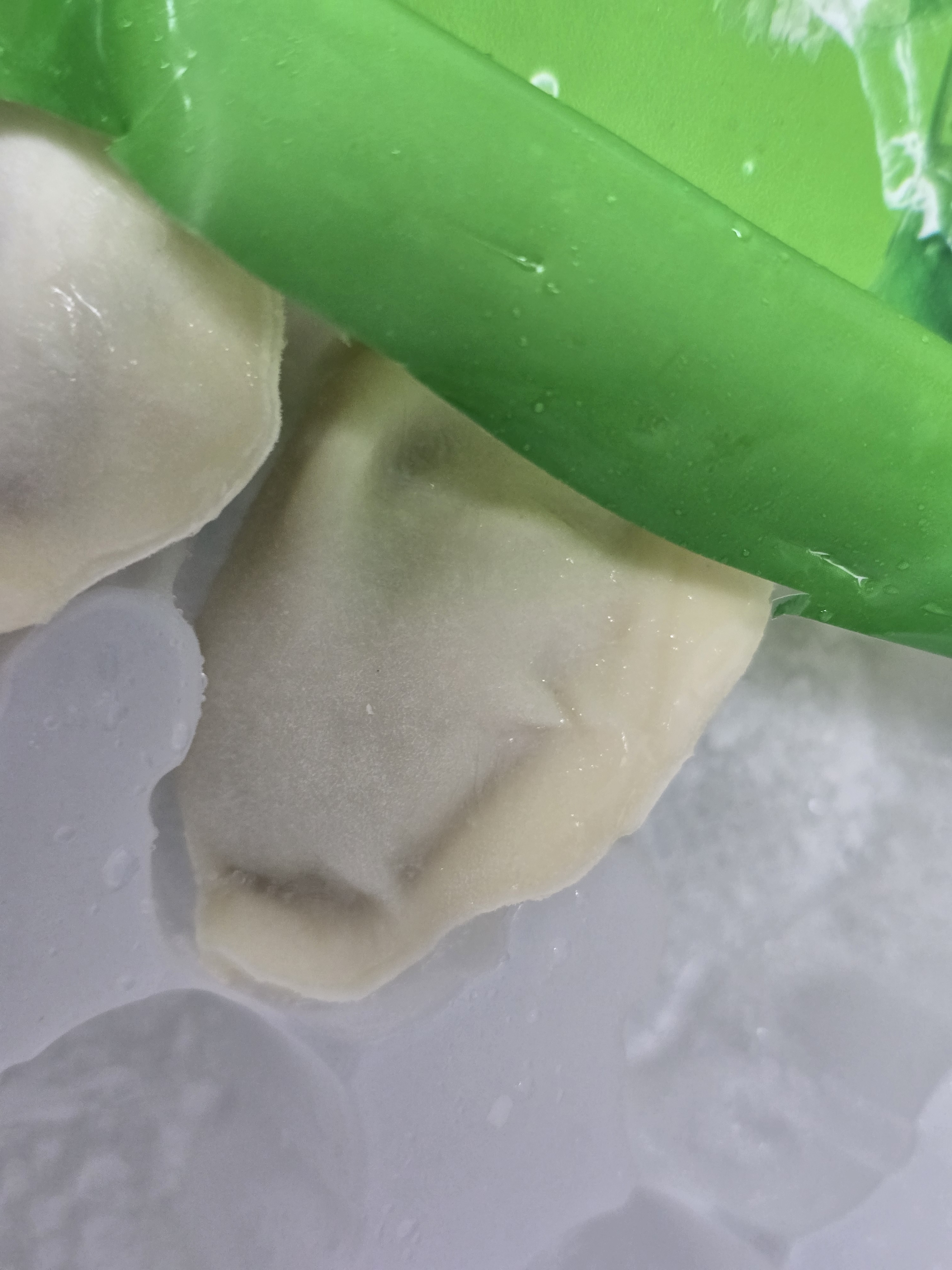 吴大嫂 东北水饺 三鲜水饺(鲜肉+韭菜+虾仁+海参)800g40个 蒸饺中秋送礼 实拍图