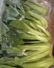 七鲜24小时油菜苗250g(长度≤17cm) 实拍图
