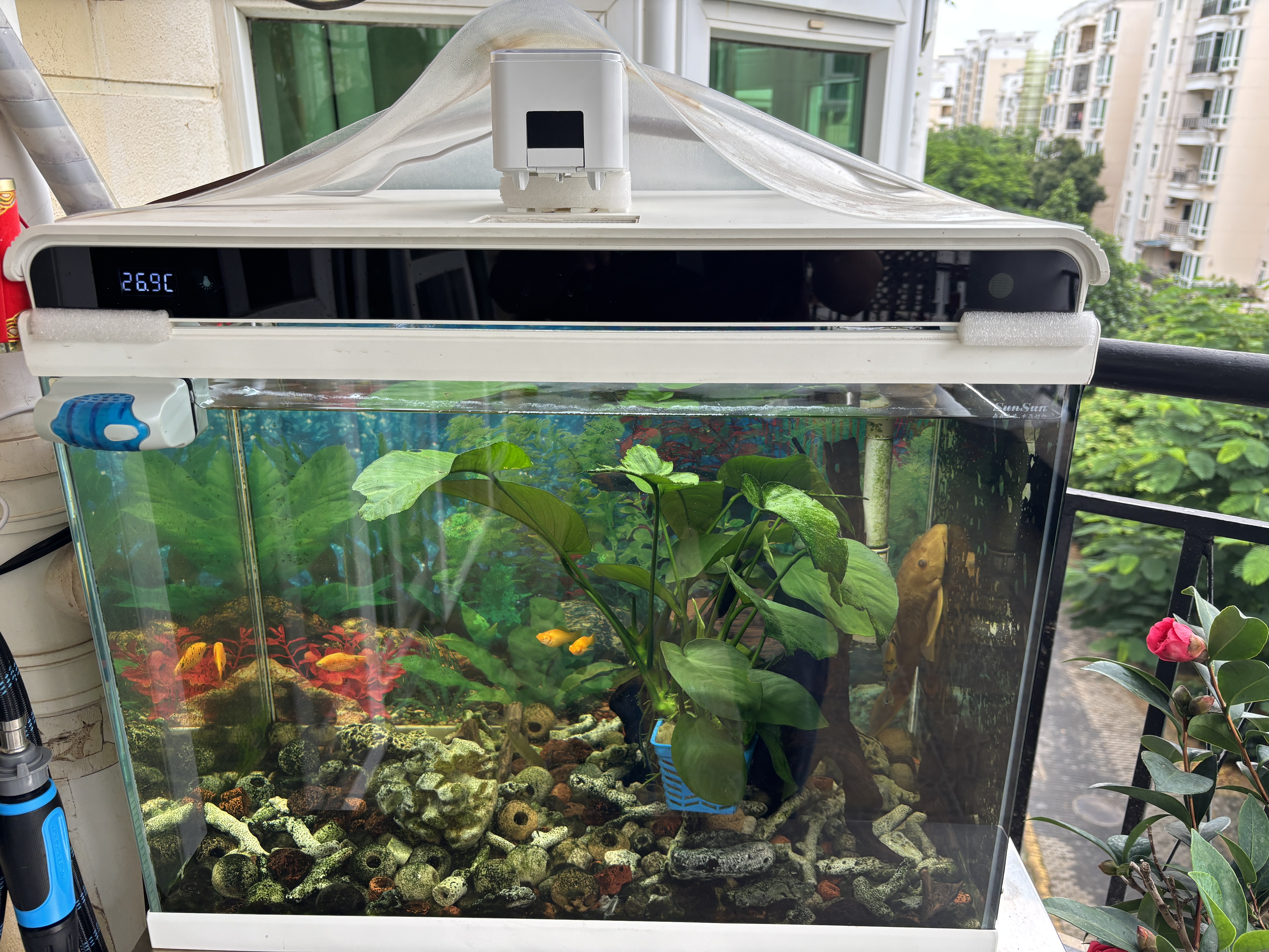 松宝（sobo）鱼缸自动喂食器小型鱼食投食器鱼粮鱼饲料智能喂鱼器WIFI款 实拍图