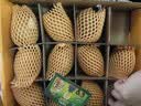 佳沛（zespri）新西兰金奇异果12粒特大果124-146g猕猴桃中秋节礼品送水果礼盒 实拍图