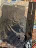 JEEP SPIRIT防晒面罩男士夏季防紫外线骑行户外遮阳全脸口罩女KZ00119 黑色 实拍图
